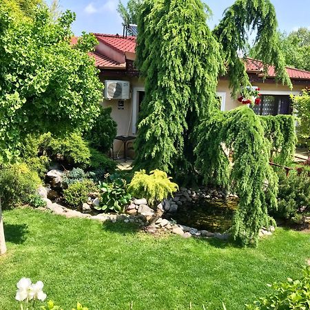 Cristi'S Rooms - Pensiune Oradea Exterior photo